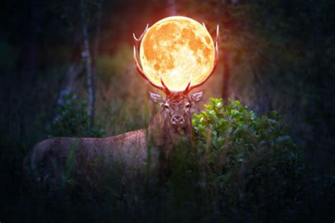 Vollmond im Juli 2021: Bockmond .